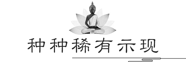 种种稀有示现.png