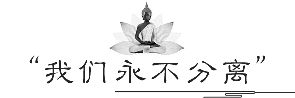 我们永不分离.png
