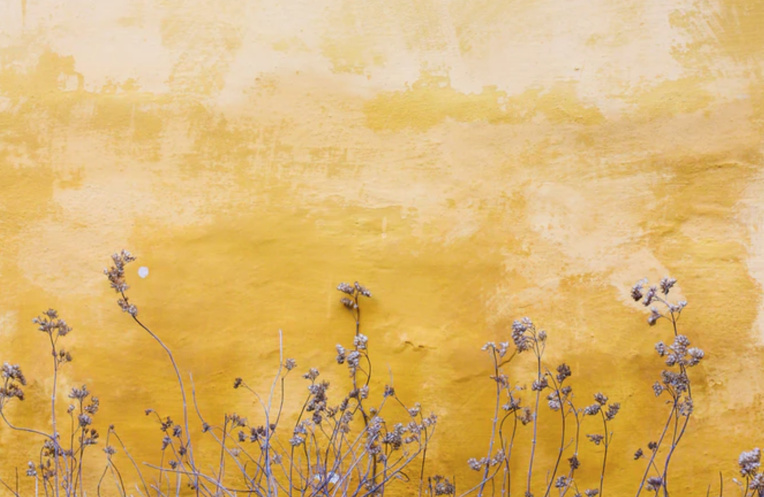 屏幕快照 2021-10-18 下午3.50.06.png