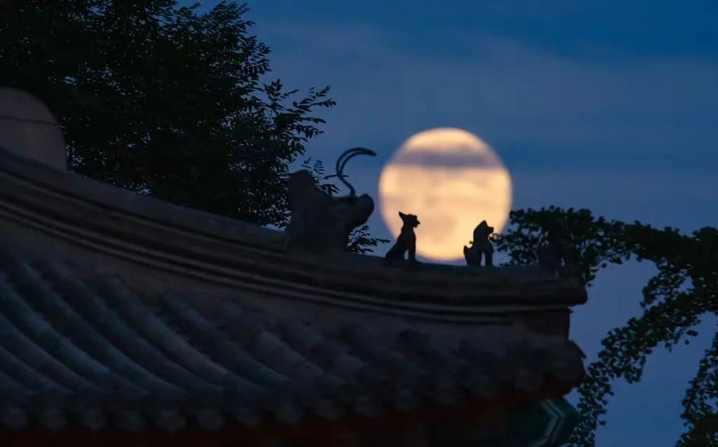 WechatIMG2070.jpeg WechatIMG2070.jpeg