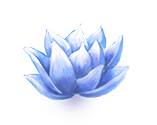 蓝莲花.png 蓝莲花.png