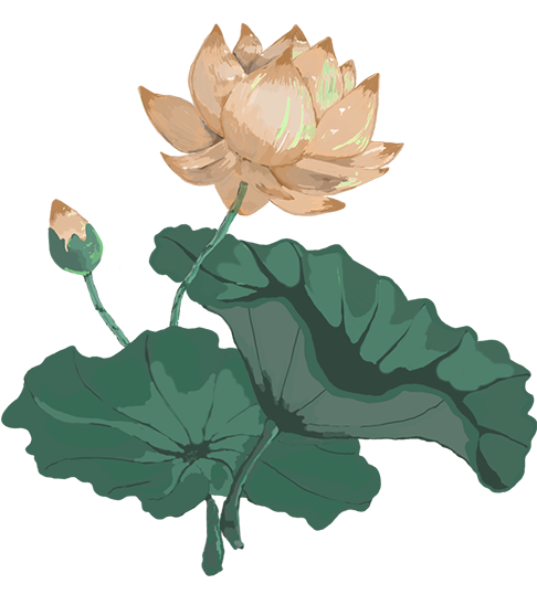 3047.png 3047.png